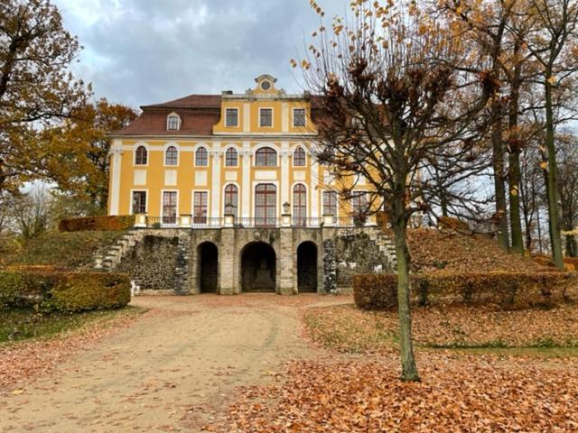 Pension Grandel Kottmar Buitenkant foto
